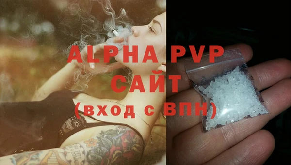 a pvp Белокуриха