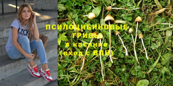 мяу мяу мука Белоозёрский