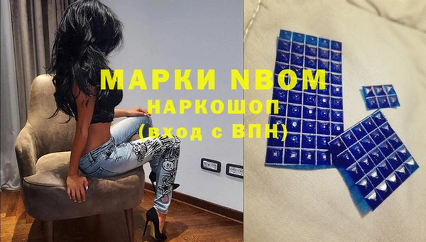 a pvp Белокуриха